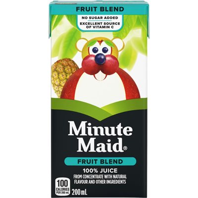 MINUTE MAID FRUIT BLEND 100% 200ML