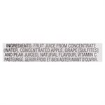 OASIS CLASSIC APPLE GRAPE JUIC 24x300ML